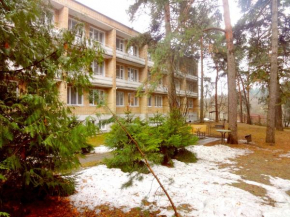 Hotel Matveevskiy Odinzowo